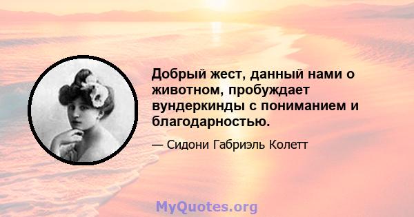 Добрый жест, данный нами о животном, пробуждает вундеркинды с пониманием и благодарностью.