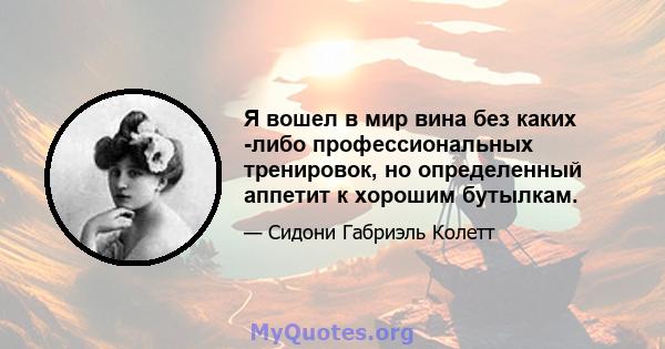 Я вошел в мир вина без каких -либо профессиональных тренировок, но определенный аппетит к хорошим бутылкам.