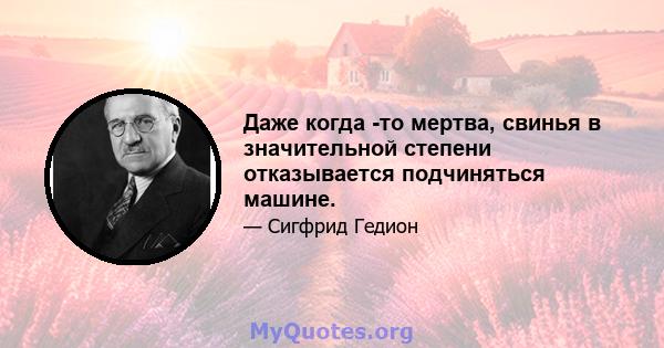 Даже когда -то мертва, свинья в значительной степени отказывается подчиняться машине.