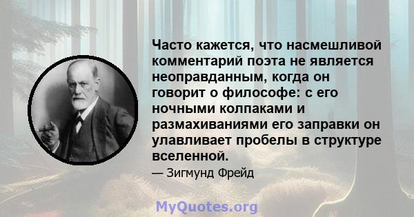 Часто кажется, что насмешливой комментарий поэта не является неоправданным, когда он говорит о философе: с его ночными колпаками и размахиваниями его заправки он улавливает пробелы в структуре вселенной.