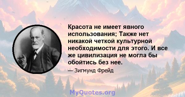 Красота не имеет явного использования; Также нет никакой четкой культурной необходимости для этого. И все же цивилизация не могла бы обойтись без нее.