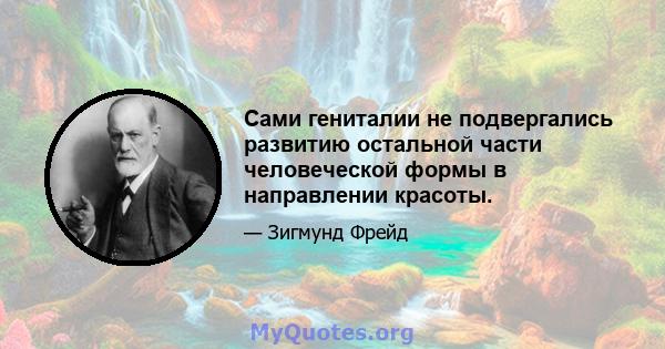 Сами гениталии не подвергались развитию остальной части человеческой формы в направлении красоты.