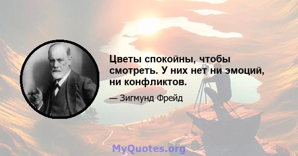 Цветы спокойны, чтобы смотреть. У них нет ни эмоций, ни конфликтов.