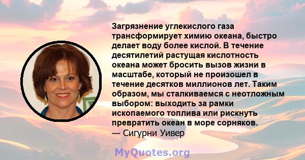 Загрязнение углекислого газа трансформирует химию океана, быстро делает воду более кислой. В течение десятилетий растущая кислотность океана может бросить вызов жизни в масштабе, который не произошел в течение десятков