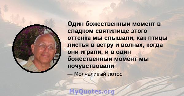 Один божественный момент в сладком святилище этого оттенка мы слышали, как птицы листья в ветру и волнах, когда они играли, и в один божественный момент мы почувствовали