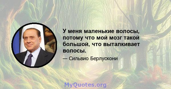 У меня маленькие волосы, потому что мой мозг такой большой, что выталкивает волосы.