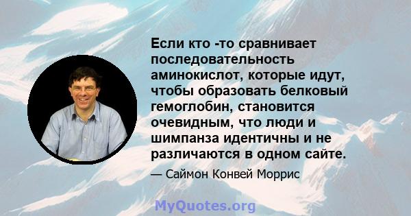 Если кто -то сравнивает последовательность аминокислот, которые идут, чтобы образовать белковый гемоглобин, становится очевидным, что люди и шимпанза идентичны и не различаются в одном сайте.