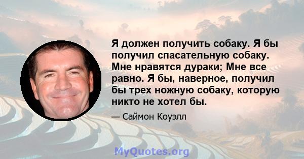 Я должен получить собаку. Я бы получил спасательную собаку. Мне нравятся дураки; Мне все равно. Я бы, наверное, получил бы трех ножную собаку, которую никто не хотел бы.