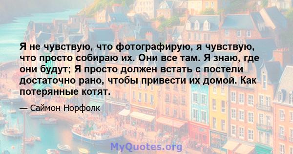 Я не чувствую, что фотографирую, я чувствую, что просто собираю их. Они все там. Я знаю, где они будут; Я просто должен встать с постели достаточно рано, чтобы привести их домой. Как потерянные котят.