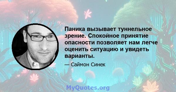 Паника вызывает туннельное зрение. Спокойное принятие опасности позволяет нам легче оценить ситуацию и увидеть варианты.