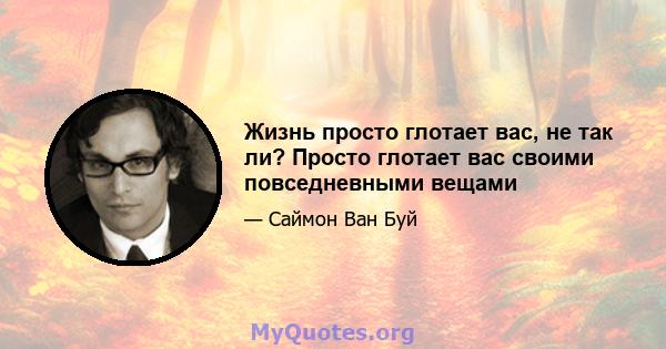 Жизнь просто глотает вас, не так ли? Просто глотает вас своими повседневными вещами