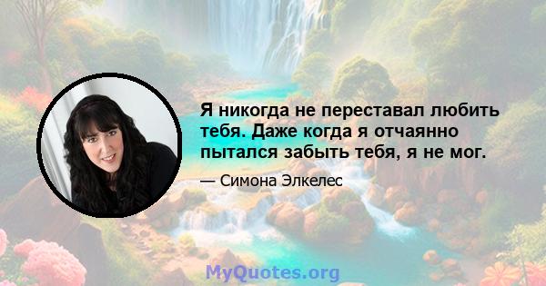 Я никогда не переставал любить тебя. Даже когда я отчаянно пытался забыть тебя, я не мог.