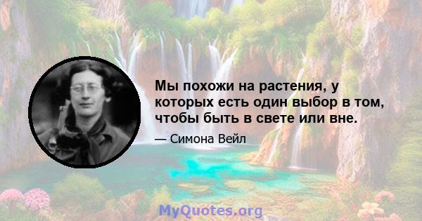 Мы похожи на растения, у которых есть один выбор в том, чтобы быть в свете или вне.