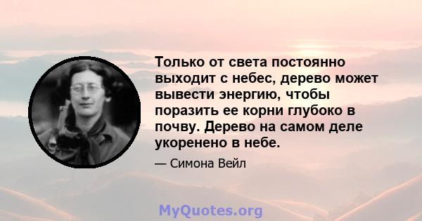 Только от света постоянно выходит с небес, дерево может вывести энергию, чтобы поразить ее корни глубоко в почву. Дерево на самом деле укоренено в небе.