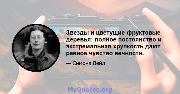 Звезды и цветущие фруктовые деревья: полное постоянство и экстремальная хрупкость дают равное чувство вечности.