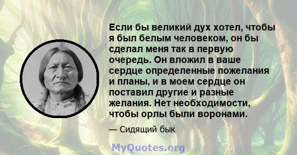 Если бы великий дух хотел, чтобы я был белым человеком, он бы сделал меня так в первую очередь. Он вложил в ваше сердце определенные пожелания и планы, и в моем сердце он поставил другие и разные желания. Нет