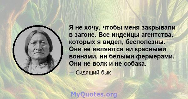 Я не хочу, чтобы меня закрывали в загоне. Все индейцы агентства, которых я видел, бесполезны. Они не являются ни красными воинами, ни белыми фермерами. Они не волк и не собака.