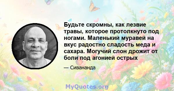 Будьте скромны, как лезвие травы, которое протолкнуто под ногами. Маленький муравей на вкус радостно сладость меда и сахара. Могучий слон дрожит от боли под агонией острых