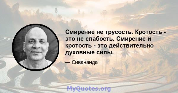 Смирение не трусость. Кротость - это не слабость. Смирение и кротость - это действительно духовные силы.