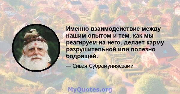 Именно взаимодействие между нашим опытом и тем, как мы реагируем на него, делает карму разрушительной или полезно бодрящей.