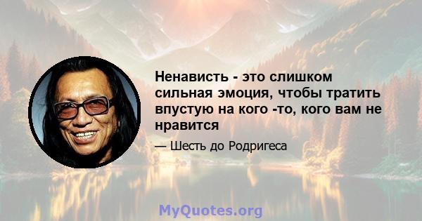 Ненависть - это слишком сильная эмоция, чтобы тратить впустую на кого -то, кого вам не нравится