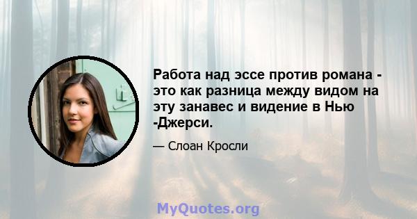 Работа над эссе против романа - это как разница между видом на эту занавес и видение в Нью -Джерси.