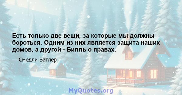 Есть только две вещи, за которые мы должны бороться. Одним из них является защита наших домов, а другой - Билль о правах.