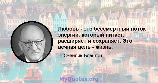 Любовь - это бессмертный поток энергии, который питает, расширяет и сохраняет. Это вечная цель - жизнь.