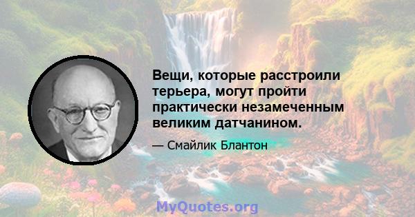 Вещи, которые расстроили терьера, могут пройти практически незамеченным великим датчанином.