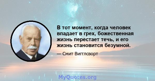 В тот момент, когда человек впадает в грех, божественная жизнь перестает течь, и его жизнь становится безумной.