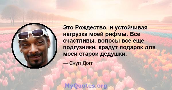 Это Рождество, и устойчивая нагрузка моей рифмы. Все счастливы, волосы все еще подгузники, крадут подарок для моей старой дедушки.