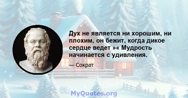 Дух не является ни хорошим, ни плохим, он бежит, когда дикое сердце ведет »« Мудрость начинается с удивления.