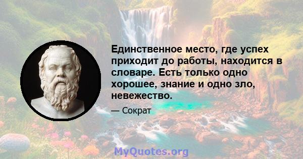 Единственное место, где успех приходит до работы, находится в словаре. Есть только одно хорошее, знание и одно зло, невежество.