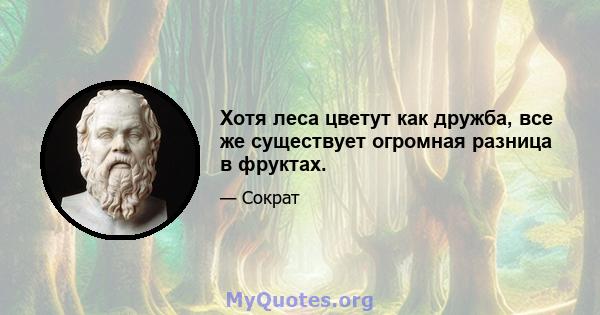 Хотя леса цветут как дружба, все же существует огромная разница в фруктах.