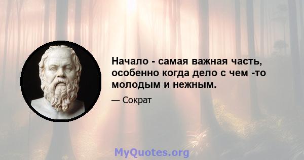 Начало - самая важная часть, особенно когда дело с чем -то молодым и нежным.