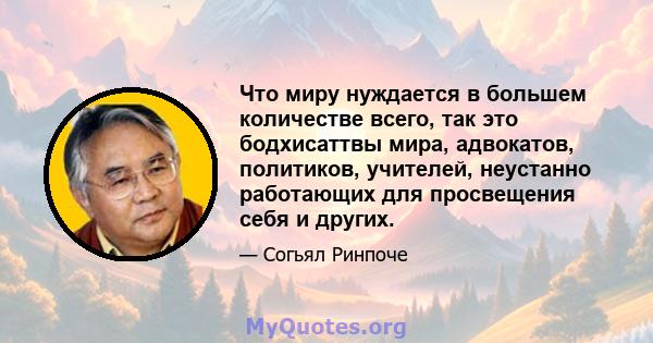 Что миру нуждается в большем количестве всего, так это бодхисаттвы мира, адвокатов, политиков, учителей, неустанно работающих для просвещения себя и других.