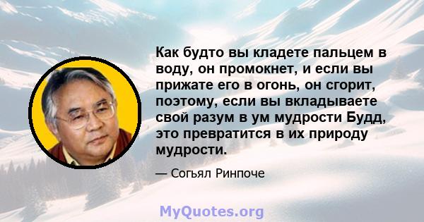 Как будто вы кладете пальцем в воду, он промокнет, и если вы прижате его в огонь, он сгорит, поэтому, если вы вкладываете свой разум в ум мудрости Будд, это превратится в их природу мудрости.