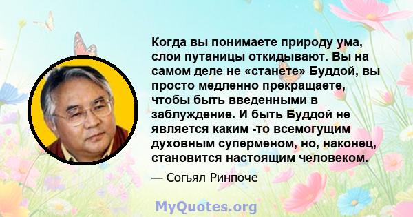 Когда вы понимаете природу ума, слои путаницы откидывают. Вы на самом деле не «станете» Буддой, вы просто медленно прекращаете, чтобы быть введенными в заблуждение. И быть Буддой не является каким -то всемогущим