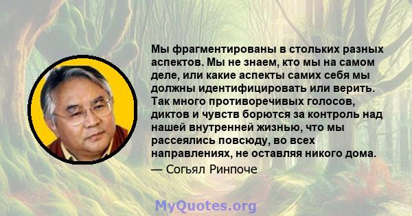 Мы фрагментированы в стольких разных аспектов. Мы не знаем, кто мы на самом деле, или какие аспекты самих себя мы должны идентифицировать или верить. Так много противоречивых голосов, диктов и чувств борются за контроль 