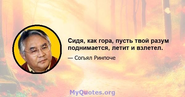 Сидя, как гора, пусть твой разум поднимается, летит и взлетел.