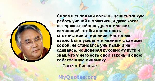 Снова и снова мы должны ценить тонкую работу учений и практики, и даже когда нет чрезвычайных, драматических изменений, чтобы продолжать спокойствие и терпение. Насколько важно быть умелым и нежным с самими собой, не