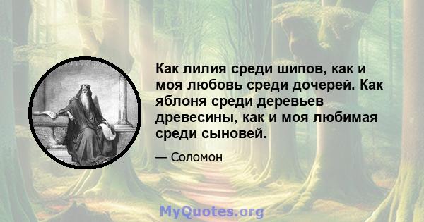 Как лилия среди шипов, как и моя любовь среди дочерей. Как яблоня среди деревьев древесины, как и моя любимая среди сыновей.