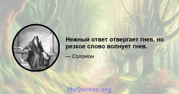 Нежный ответ отвергает гнев, но резкое слово волнует гнев.