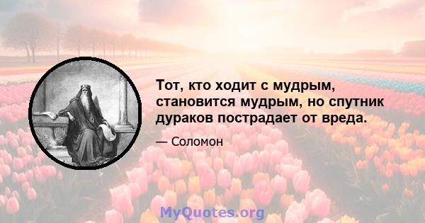 Тот, кто ходит с мудрым, становится мудрым, но спутник дураков пострадает от вреда.