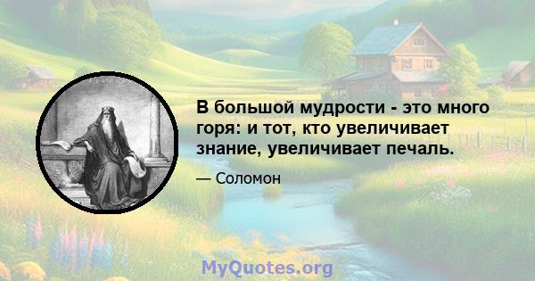 В большой мудрости - это много горя: и тот, кто увеличивает знание, увеличивает печаль.