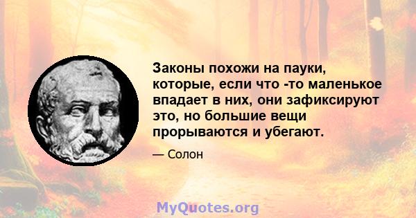 Законы похожи на пауки, которые, если что -то маленькое впадает в них, они зафиксируют это, но большие вещи прорываются и убегают.