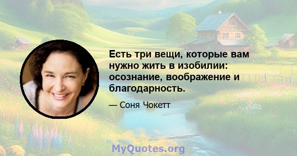 Есть три вещи, которые вам нужно жить в изобилии: осознание, воображение и благодарность.