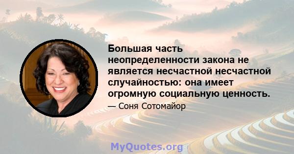 Большая часть неопределенности закона не является несчастной несчастной случайностью: она имеет огромную социальную ценность.