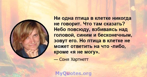 Ни одна птица в клетке никогда не говорит. Что там сказать? Небо повсюду, взбиваясь над головой, синим и бесконечным, зовут его. Но птица в клетке не может ответить на что -либо, кроме «я не могу».