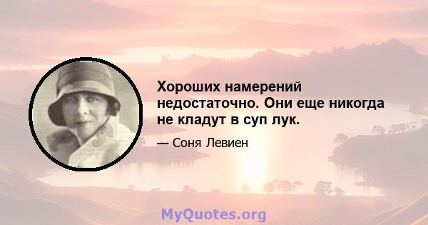 Хороших намерений недостаточно. Они еще никогда не кладут в суп лук.